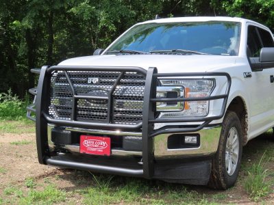 2015-20 Ford F150 Brush Guard